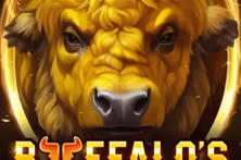 Buffalo's Wealth