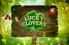 Lucky Clovers