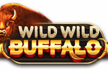 Wild Wild Buffalo