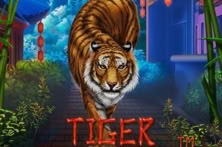 Tiger Fortune