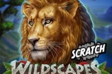 Wildscapes Scratch