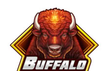 Buffalo Bucks