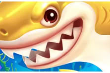 It’s Shark Time!