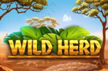 Wild Herd