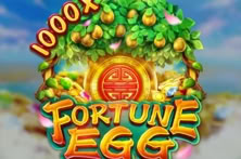 FORTUNE EGG