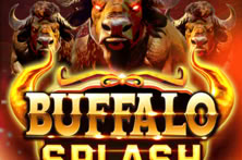 Buffalo Splash