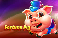 Fortune Pig
