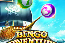 BINGO ADVENTURE