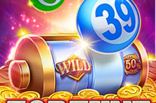 Fortune Bingo