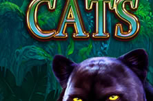 Cash Cats