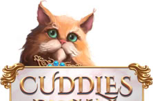 Cuddles & Co.