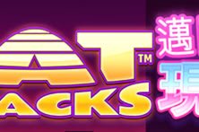 FatStacks Miami Cash