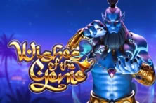 Wishes of the Genie