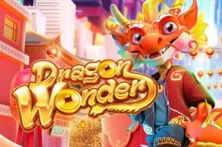 Dragon Wonder