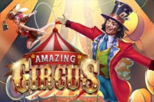 Amazing Circus