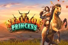 Stallion Princess