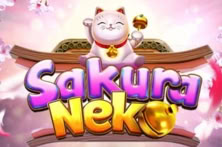 Sakura Neko