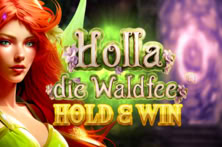 Holla die Waldfee Hold and Win