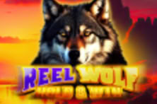 Reel Wolf