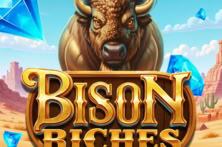 Bison Riches
