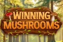 Winning Mushrooms