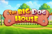 The Big Dog House