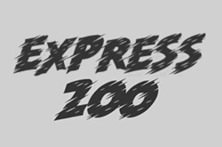 Express 200