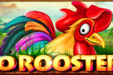 40 Roosters