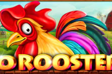 20 Roosters