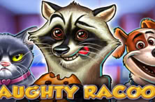 Naughty Racoon