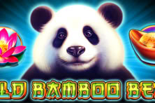 Wild Bamboo Bear