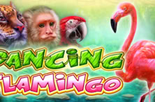 Dancing Flamingo