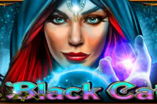 13 Black Cats