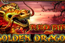 Red Bird And Golden Dragon