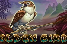 Golden Bird 2