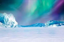Polar Adventure