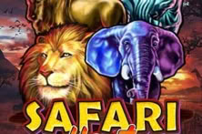 Safari Heat