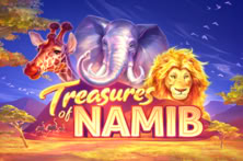 Treasures Of Namib