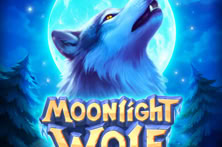 Moonlight Wolf: Power Coins