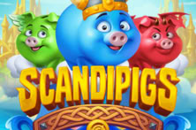 Scandipigs
