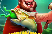 Fortune Hook Boom