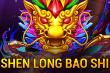 Shen Long Bao Shi