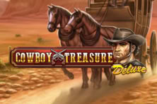 Cowboy Treasure