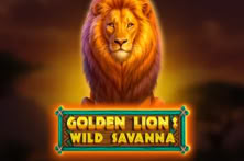 Golden Lion Wild Savanna