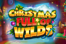 A Christmas Full Of Wilds
