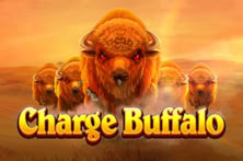 Charge Buffalo