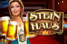 Stein Haus™
