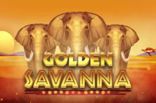Golden Savanna