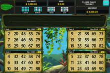 Amazonia Bingo
