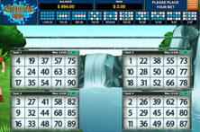 Cataratas Bingo